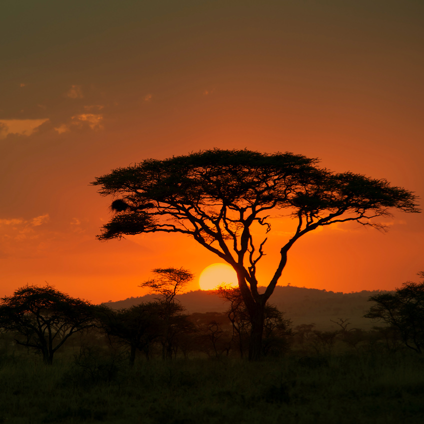 End of a Safari-day in the Serengeti, Africa